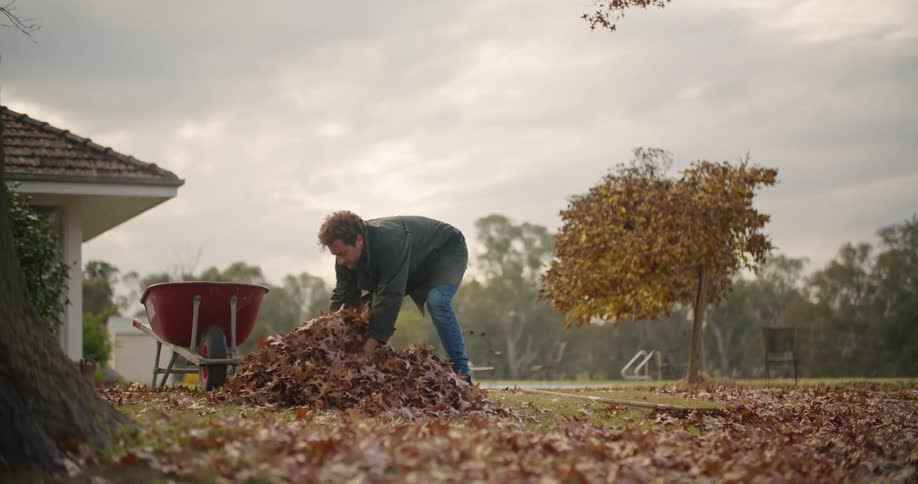 Man with a green coat and jeans collects and removes fallen brown leaves