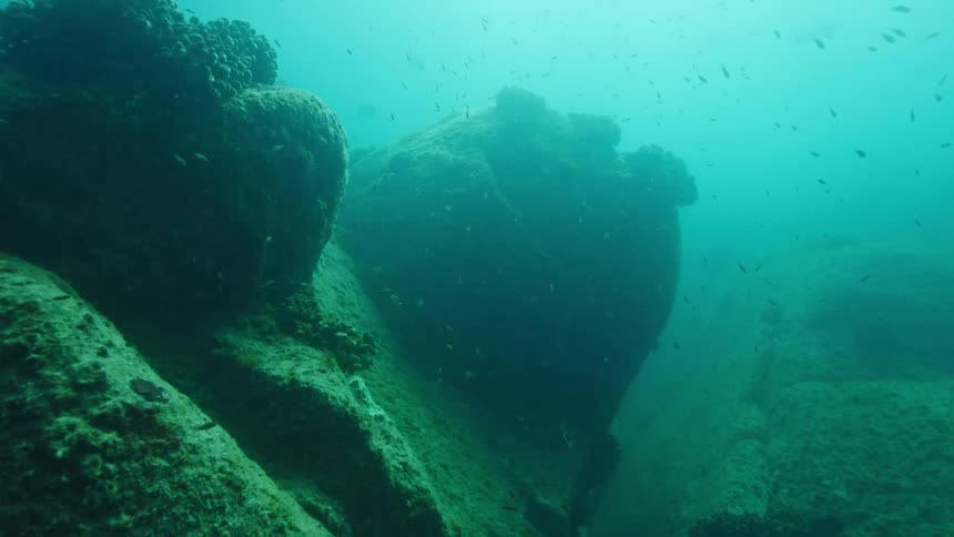 Algae covered rocks on at the bottom of the ocean