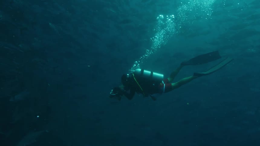 Scuba divers swimming near a big school of fish in the green ocean waters