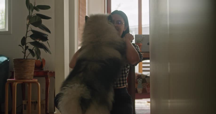 Woman with glasses and a plaid blouse strokes dark grey dog
