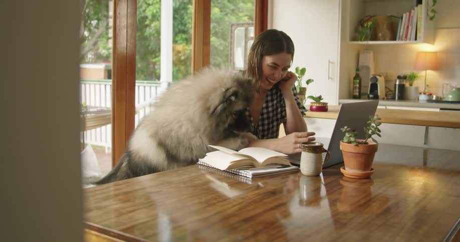 A woman working on a laptop at a table indoors playing with her dog that is leaned up against her