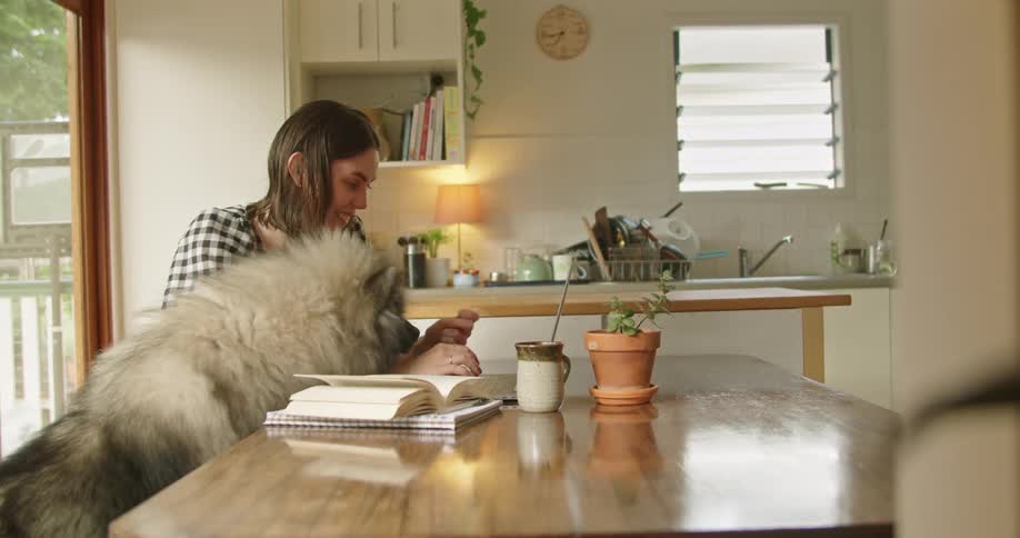Woman sits at home typing on laptop with playful dogs demands for attention making her laugh