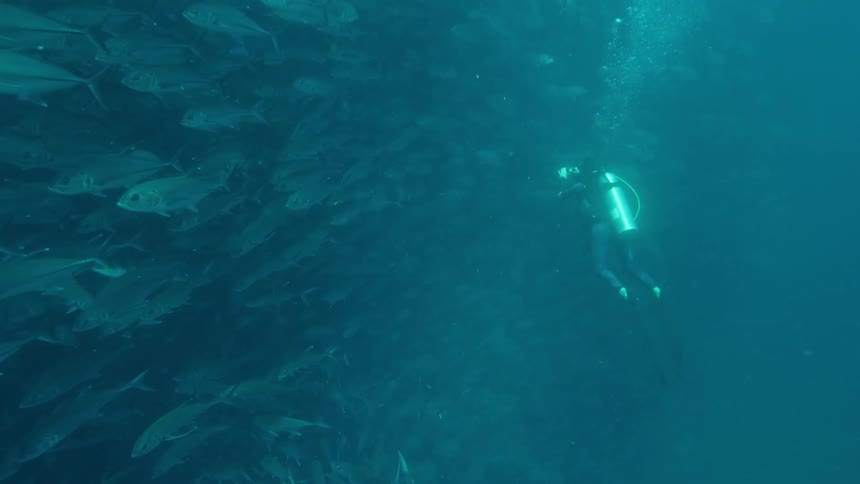 A person with scuba gear swimming underwater in the ocean with schools of fish
