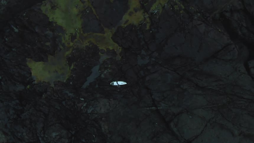 A person with a surfboard walking on a rocky terrain with moss