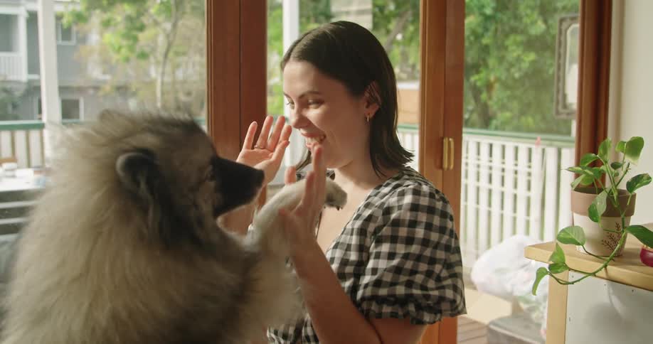 Woman playing and giving treats to her dog at home