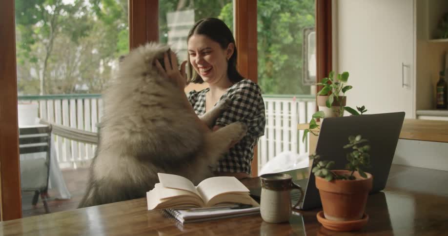 Woman working from home pets and hugs her dog in the livingroom