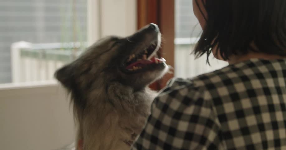 A woman in a room petting a dog with a wall and window in the background