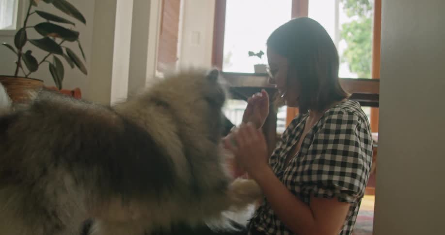 A female caucasian sitting in a room playing with her dog