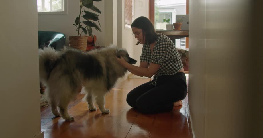 A woman with glasses in a room petting a dog with a wall and window in the background