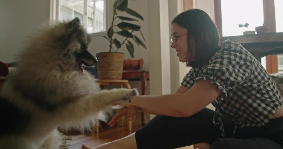 A woman shakes her dogs hand and brushes his fur