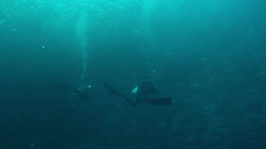 Two scuba divers swimming in front of a big school of fish on the ocean