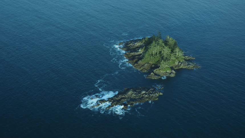 Aerial view of a small island with trees on the middle of a lake
