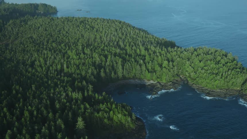 Lush forests in an island surrounded by sea