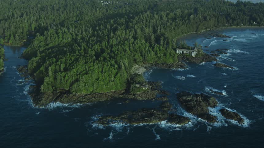 Aerial view of an ocean surrounded by trees is displayed