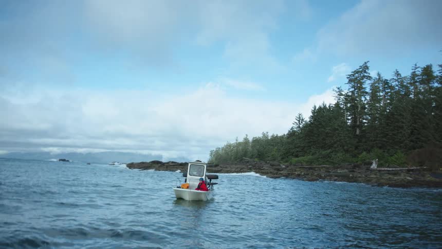 Small fishing boat floating close to the pine tree forest on the coast