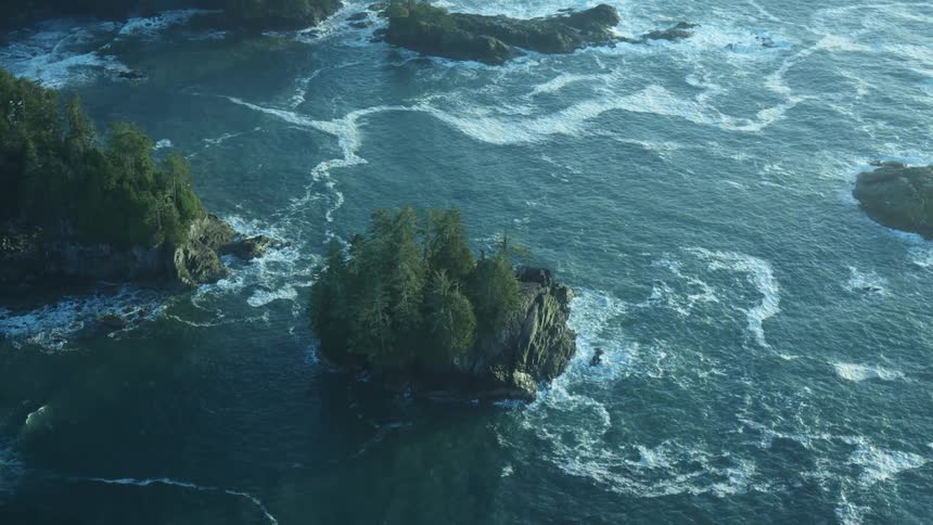 Pine trees on a small island on the ocean next to the coast at morning
