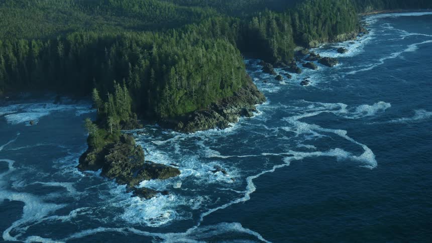 Trees are surrounding a body of water