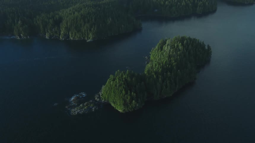 Aerial view of an island on a lake covered in pine trees at morning
