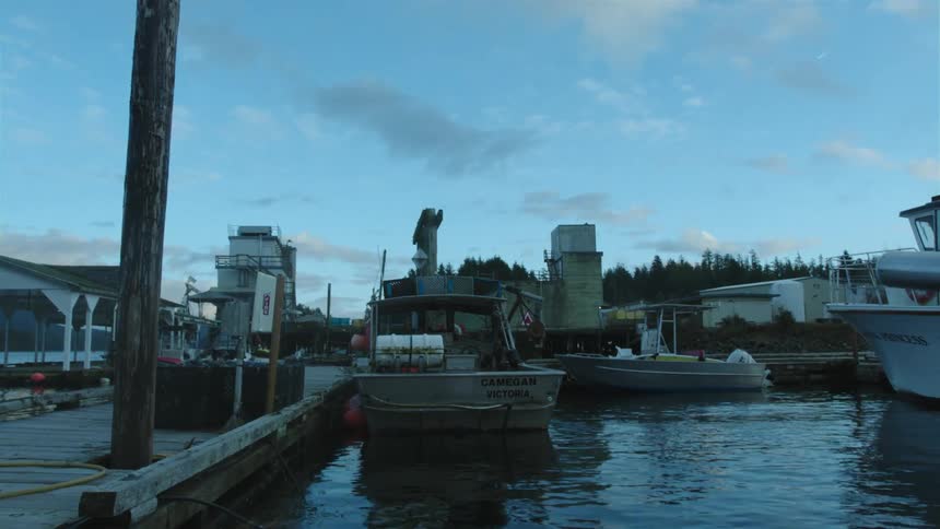 Boats docked on a pier in the harbor at morning