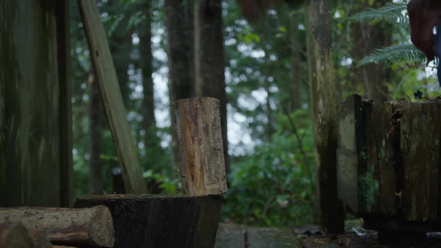 Logs are being split with an ax