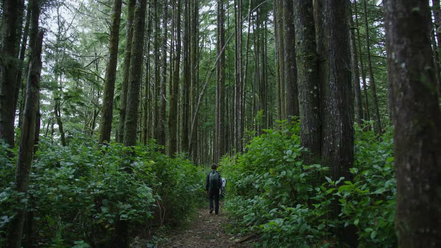 A man is hiking in the forest with a surfboard