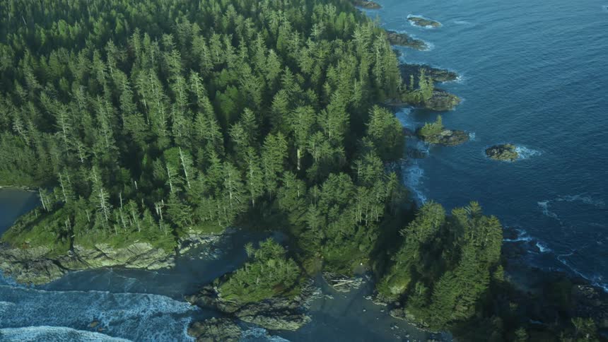 A coast with land with grass and trees next to water with waves