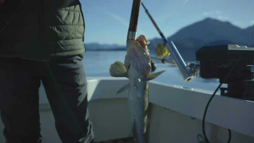 A person on a boat holding a fish on a pole with the sky and clouds in the background
