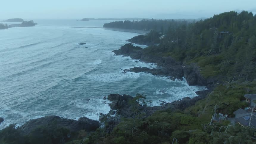 A view of the cost on rocks and trees