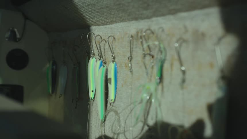 Fishing lures hang in the tackle box