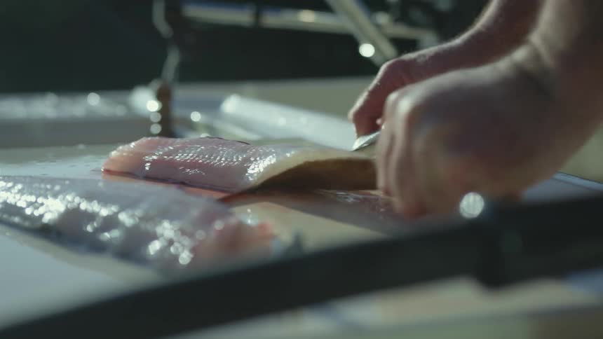 A person in a room with a knife filleting a fish