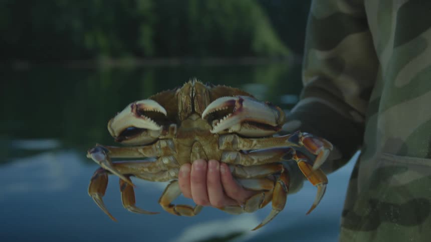 A man holds a still moving crab while standing along a river