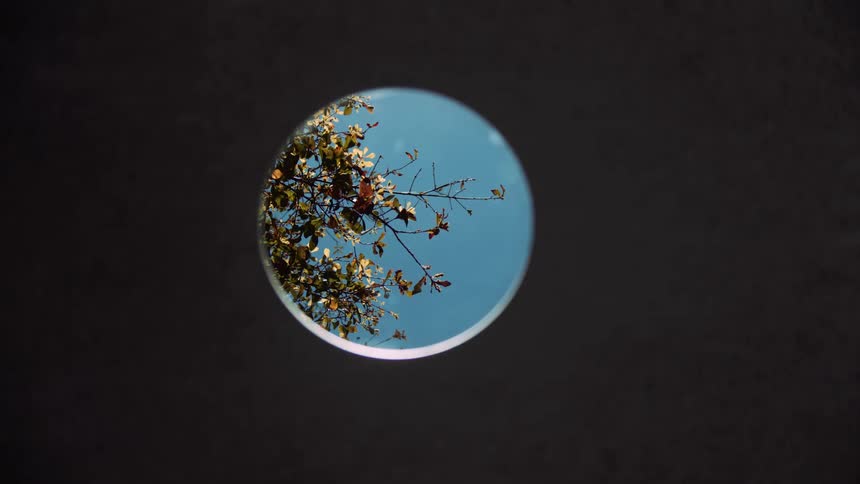 A person placing a mirror down with the reflection of a tree the sky and clouds then shattering the mirror with a hammer