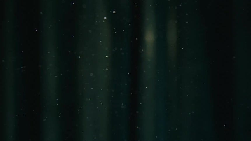 Snowflakes floating in the air in the forest at night