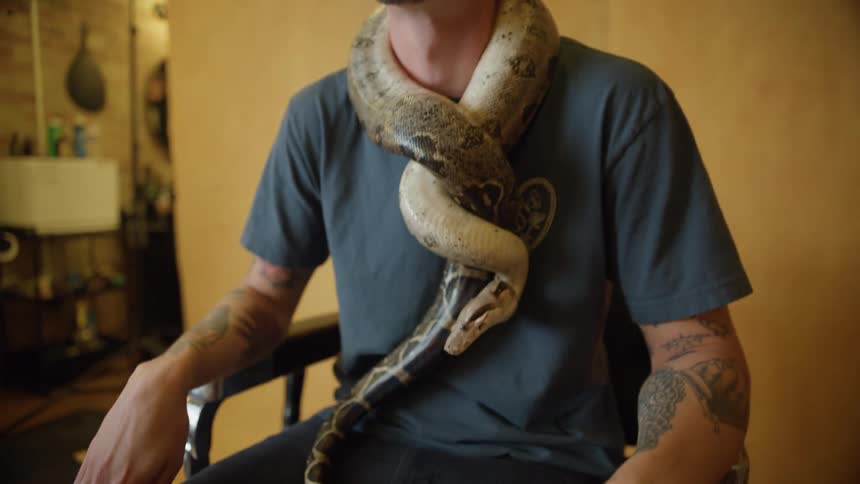 A tattooed man smiling and posing in a chair with a snake wrapped around his neck
