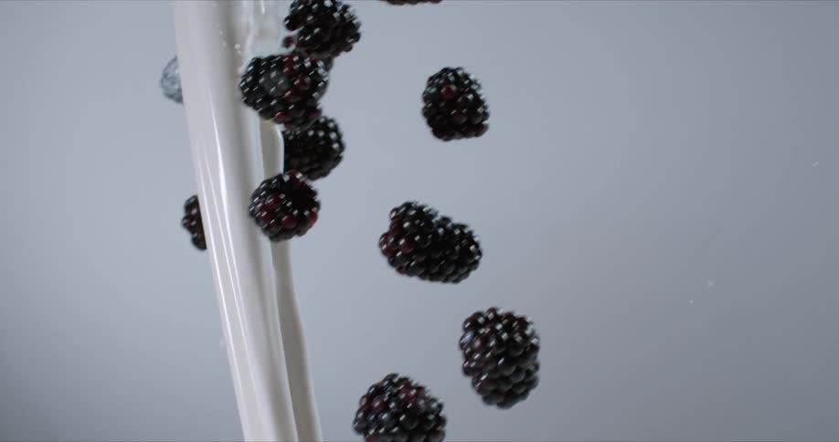 Milk being poured over blackberries as they fly through the air for a photoshoot