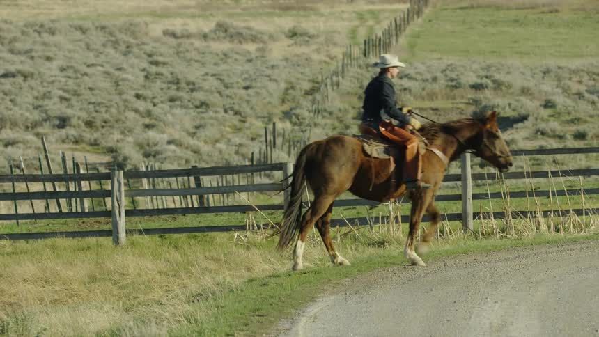 Man with a cowboy hat and a dark blue denim jacket rides brown horse on dirt road close to wood fences