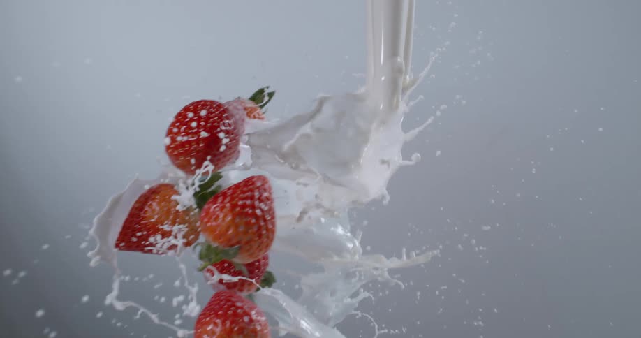 Strawberries splashing through a falling stream of milk with a white background