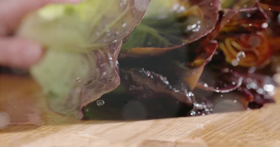 Persons hand puts wet lettuce on cutting board