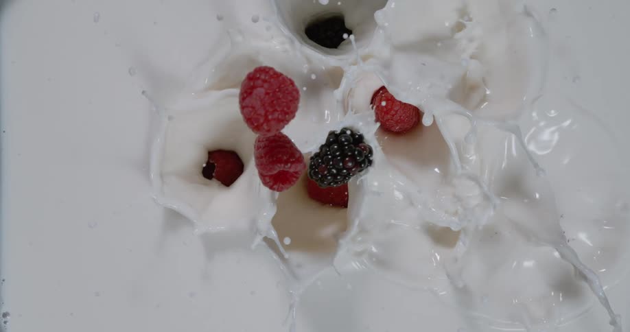 Raspberries and blackberries falling and splashing in milk