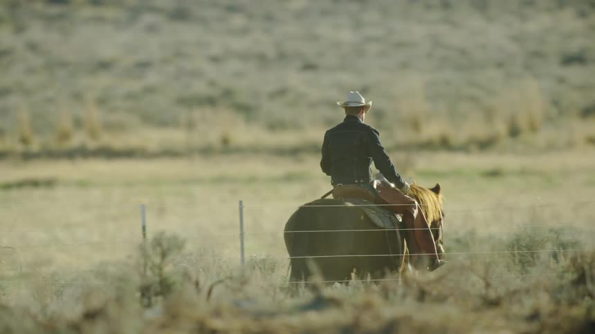 A lone cowboy starting the day horseback on his Bison ranch in rural Montana