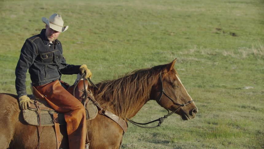 Tight static shot of a cowboy patting his horse before continuing chores in rural Montana before the end of the day