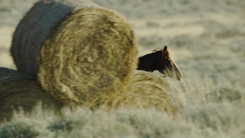 Cowboy wearing his cowboy hat rides in front of hay bales and barb wire fences on horseback