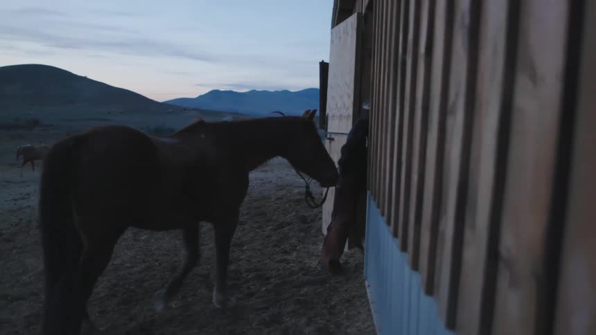 Blue hour shot of a cowboy leading his horse into a large barn after a long hard day of work tending his Bison