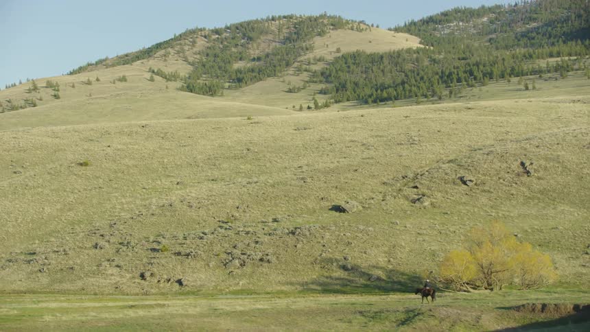 A bison rancher Cowboy rides his horse in a wide open meadow below a steep mountainside as the camera slowly follows along