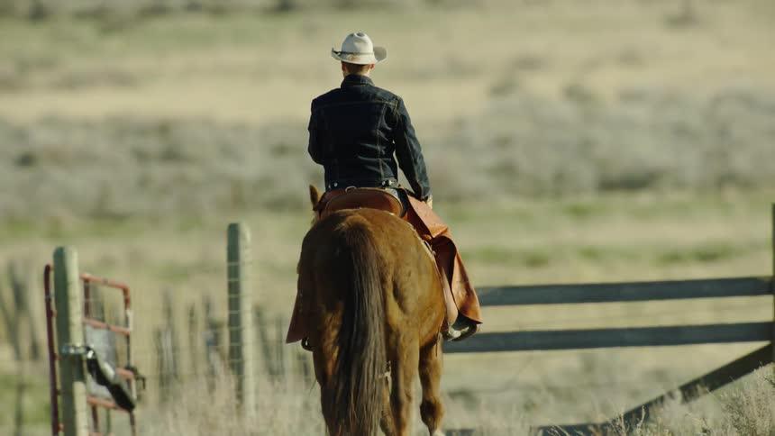 Cowboy on horseback wearing a cowboy hat, denim jacket and leather chaps rides his horse off into the horizon