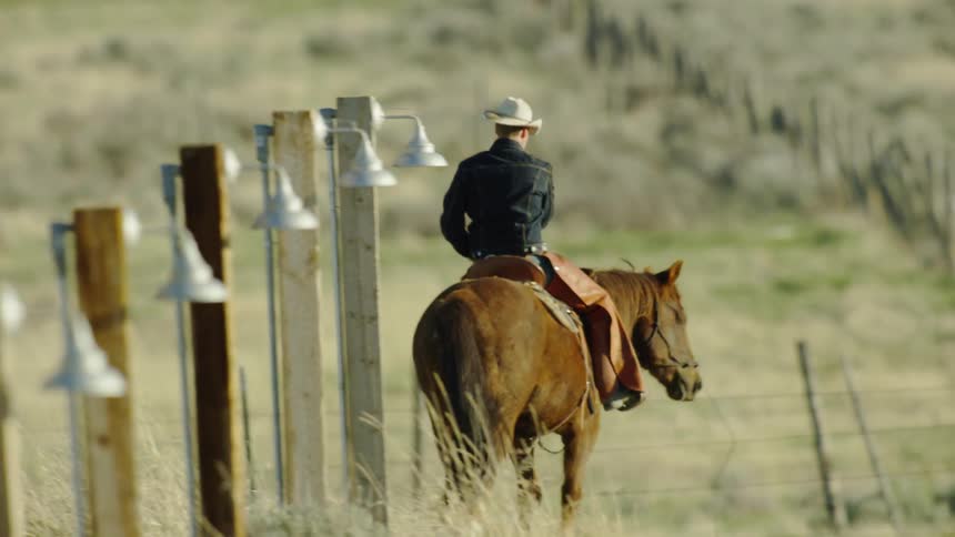 Cowboy rides his horse through pasture toward fence with flood lights on it and barb wire fence in the background