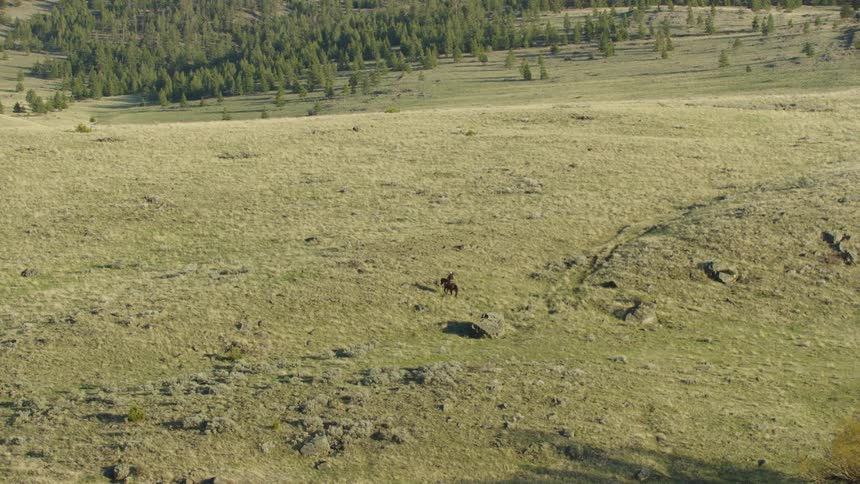 Slow zoom out revealing a vast mountain landscape showing a cowboy riding his horse up a steep hillside