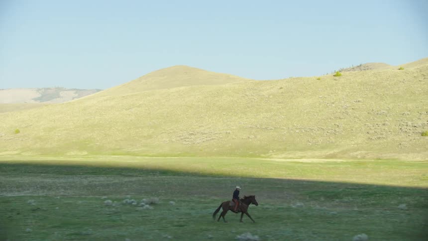 A cowboy bison rancher rides a brown horses in a beautiful tracking shot with green hills surrounding him in Montana