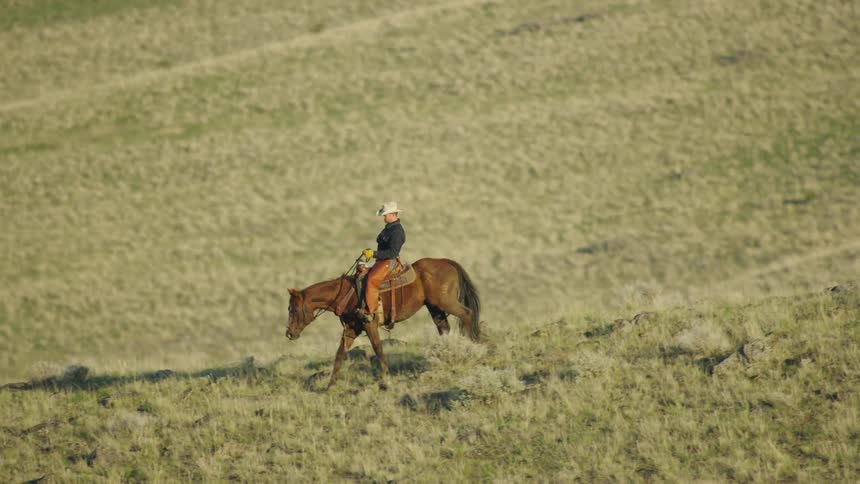 A Montana bison rancher rides his horse at the end of a long day tending buffalo and keeping his ranch in order