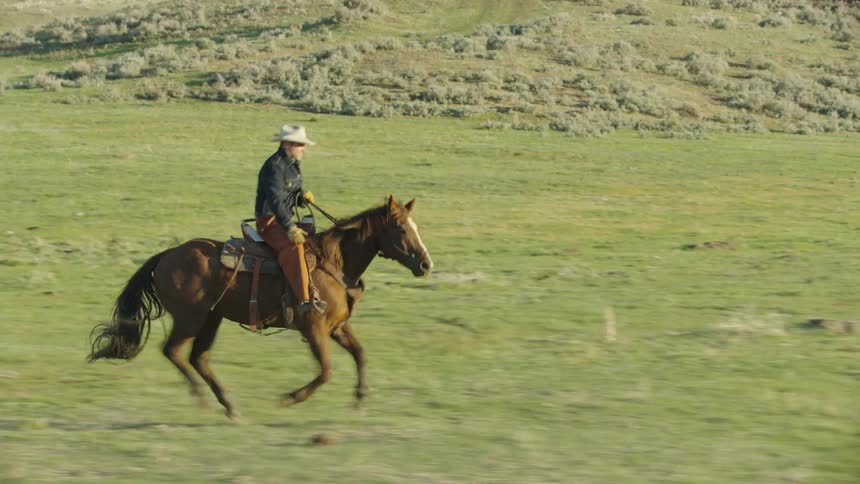 Real time running shot of cowboy riding his horses in a wide open pasture at sunset on a Bison ranch in mountainous Montana